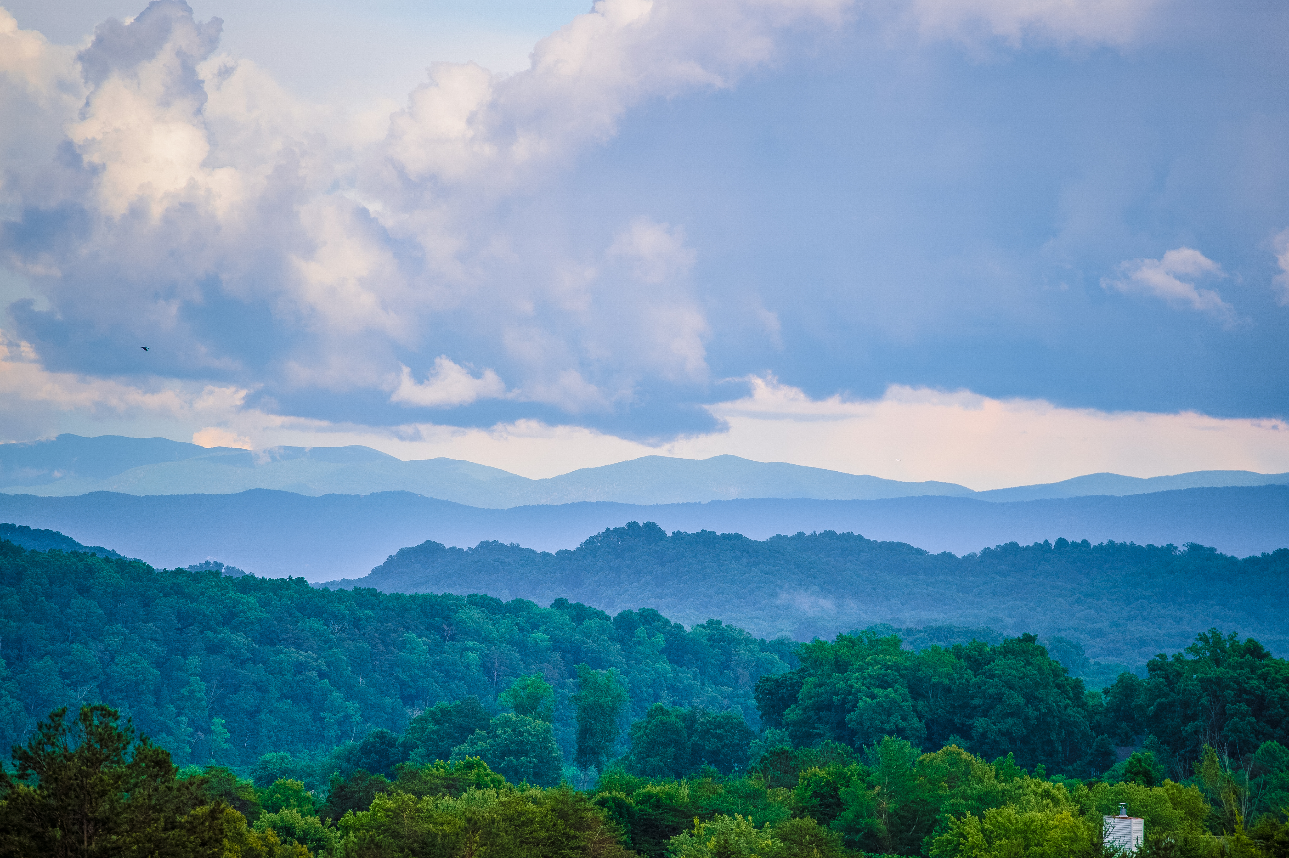 31. The Great Smoky Mountains National Park is in your backyard